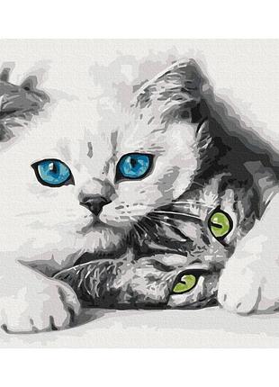 Картина за номерами "муркотики" pbs51695 40×50 см