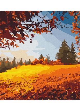 Картины по номерам «осенний лес» pbs52622 40×50 см