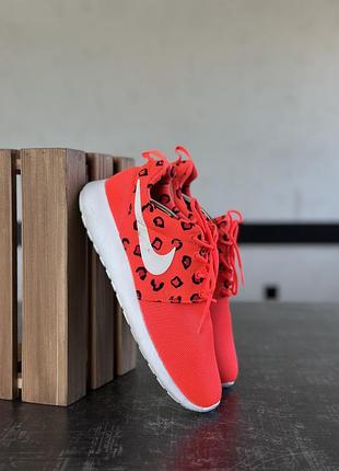 Кросівки nike