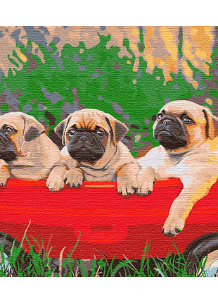 Картины по номерам «мопс» bs51457 (48x60 см l)