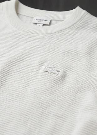 Светр lacoste 2