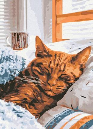 Картины по номерам «утренний кот» pbs52320 40×50 см
