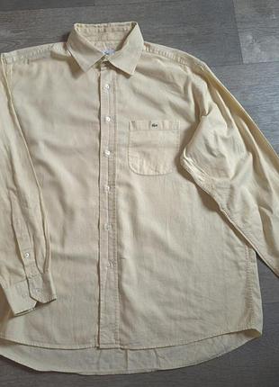 Светлая рубашка lacoste батал размер 2xl-3xl