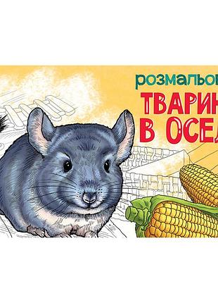 Детская раскраска "животные в доме" 583010, 16 страниц