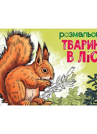 Детская раскраска "животные в лесу" 583012, 16 страниц