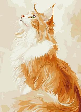 Картина по номерам "рыжий мейн-кун" ©arttem_illustration 11704-ac 40х50 см