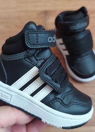 Новые хайтопы adidas р20 длина стельки по факту 12.5см
ц650грн
