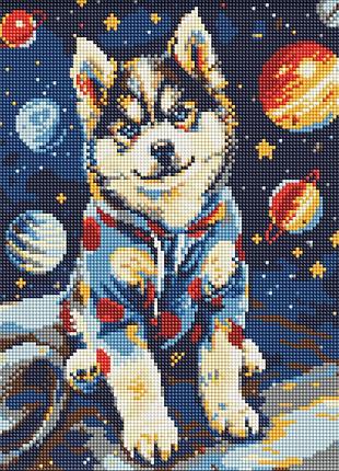 Алмазная мозаика "космический хаски" amo8075, 30x40 см