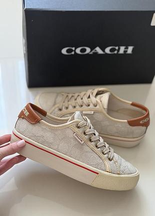 Шкіряні кеди кросівки coach оригінал