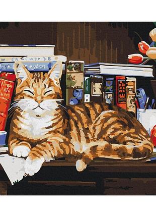 Картины по номерам «кот на книжной полке» bs4142 (48x60 см l)