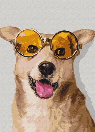 Картины по номерам «corgi hipster» bs52094 (48x60 см l)