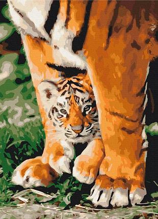 Картины по номерам «тигрёнок в могучих лапах» bs29947 (48x60 см l)