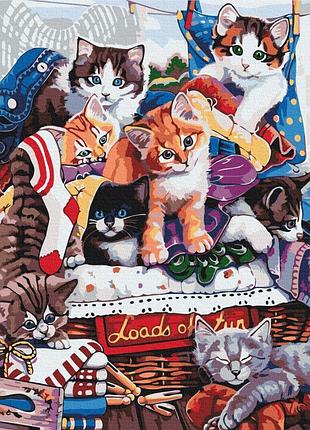 Картины по номерам «забавные котята» bs51676 (48x60 см l)