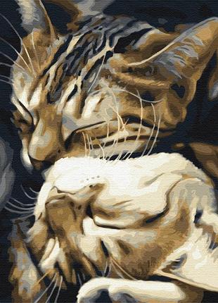Картины по номерам «спящие кошки» bs29747 (48x60 см l)
