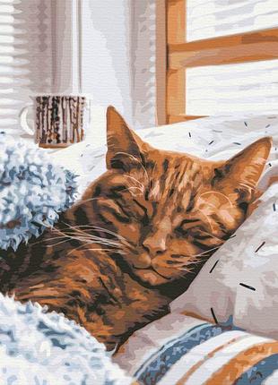 Картина за номерами "ранковий котик" bs52320 (48x60 см l)