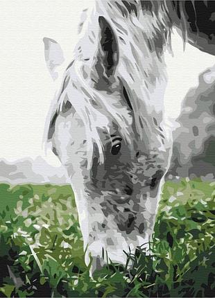 Картины по номерам «серая лошадь» bs52443 (48x60 см l)