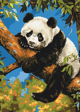 Картина по номерам «ленивая панда» bs53982 (48x60 см l)