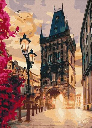 Картины по номерам «прага» bs44286 (48x60 см l)