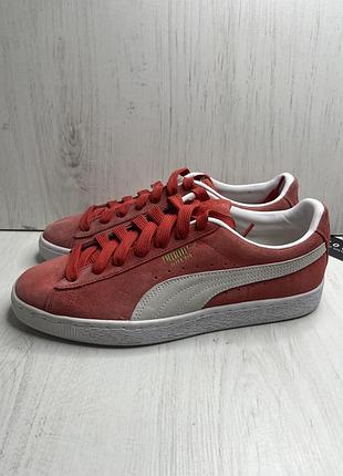 Кеди puma suede