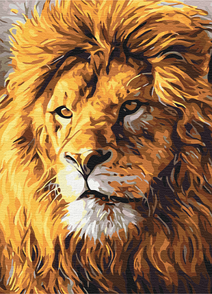 Картина за номерами "погляд на прайд" bs52292 (48x60 см l)