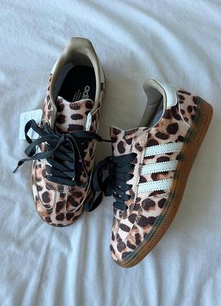Розкішні жіночі кросівки adidas spezial handball leopard print леопардові
