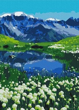 Картины по номерам «альпийские луга» bs39458 (48x60 см l)