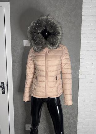 Демісезонна тонка куртка з капюшоном chicoree. s