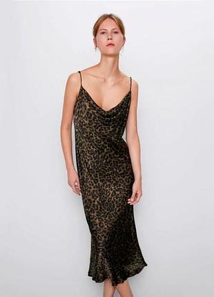 Леопардова сукня zara