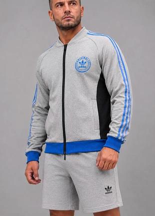 Чоловічий демісезонний бомбер adidas originals