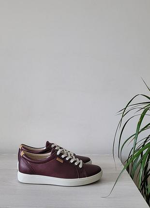Кеди шкіряні оригінал ecco soft 7 430003 рр.35
