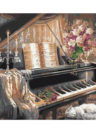 Картины по номерам «комфорт бетховена» bs467 (48x60 см l)