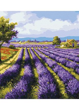 Картина за номерами "лавандові поля" bs8998 (48x60 см l)