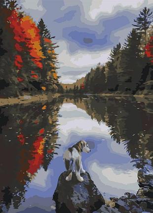 Картина за номерами "собачка біля озера" bs51425 (48x60 см l)