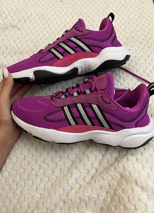 Кросівки adidas originals haiwee