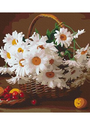 Картины по номерам «полевые ромашки» bs29376 (48x60 см l)