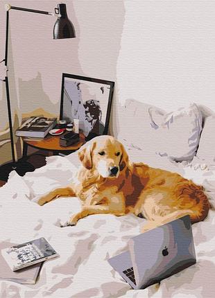 Картины по номерам «home office» bs52477 (48x60 см l)