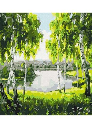 Картины по номерам «берёза с детства» bs52205 (48x60 см l)