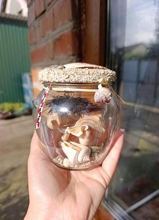 Декор для дому ракушки морські море