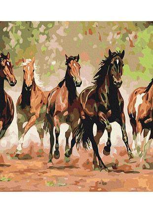 Картина за номерами "табун коней" bs8288 (40x50 см)