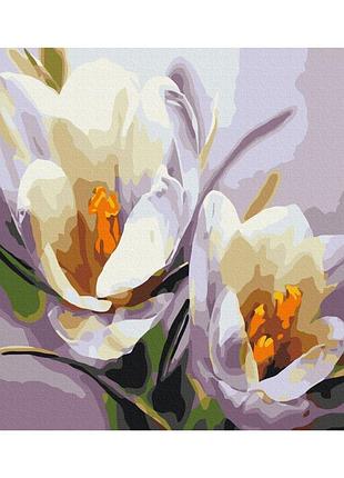 Картина за номерами "крокуси" bs5828 (40x50 см)