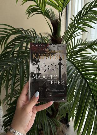Книга «маестро тіней» донато каррізі