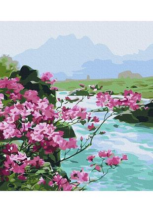 Картины по номерам «горные цветы» bs51394 (40x50 см)