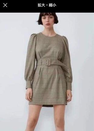 Класична сукня zara жіноча с