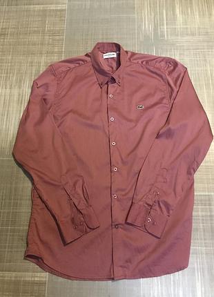 Чоловіча сорочка рубашка lacoste slim fit оригінал  розмір xl. чоловічий одяг