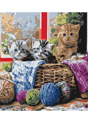 Картины по номерам «котята в корзине» bs36646 (40x50 см)