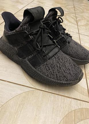 Кросівки adidas prophetess