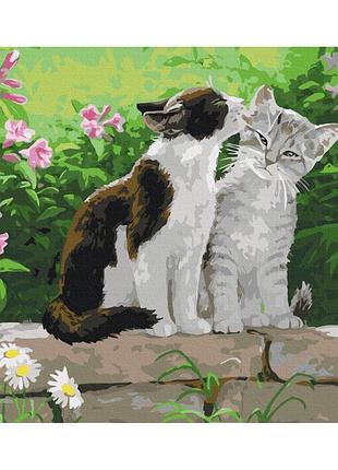 Картины по номерам «пара котят» bs3251 (40x50 см)