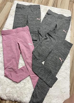 Лосини puma