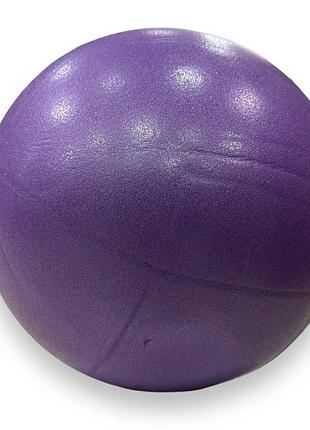 М'яч для пілатесу та йоги pilates ball mini gemini 20cm фіолетовий