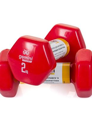Гантели gemini sport для фитнеса с виниловым покрытием 2шт по 2.0кг gsd-2.0red